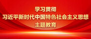 操她的美穴亚洲学习贯彻习近平新时代中国特色社会主义思想主题教育_fororder_ad-371X160(2)